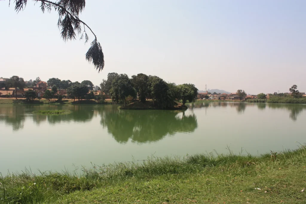 Trees and water at Kabaka’s Lake in Kampala